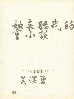 她来听我的演唱会小说