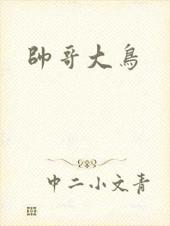 帅哥大鸟