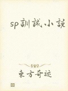 sp训诫小说封面