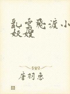 乱云飞渡小说之姣嫂封面