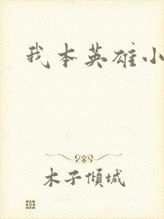我本英雄小说