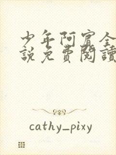 少年阿宾全文小说免费阅读笔趣阁