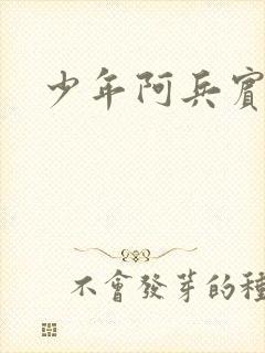 少年阿兵宾封面