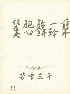 双胞胎一前一后夹心饼干年下