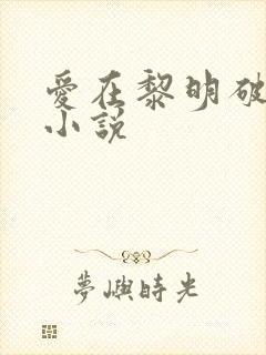 爱在黎明破晓前小说