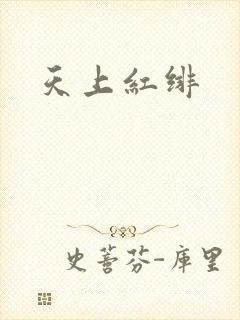 天上红绯封面