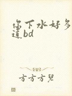 你下水好多下水道bd