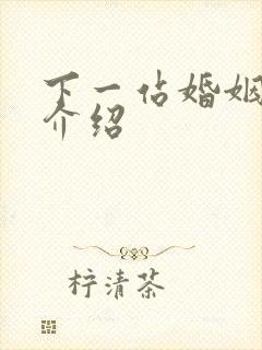 下一站婚姻剧情介绍