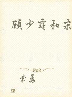 顾少霆和宋斯曼封面