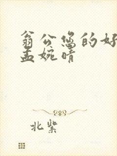 翁公您的好长呀孟婉晴封面