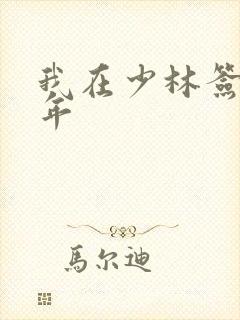 我在少林签到万年封面