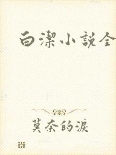白洁小说全文