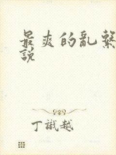 最爽的乱系列小说