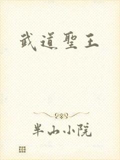 武道圣王