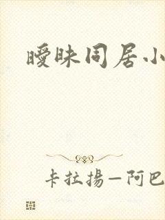 暧昧同居小说封面