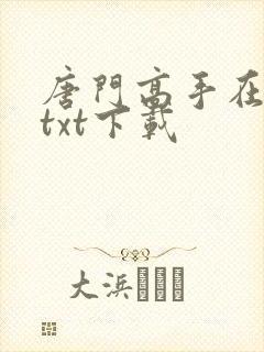 唐门高手在异世txt下载