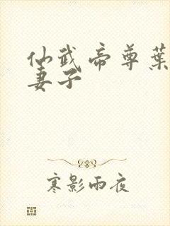 仙武帝尊叶辰的妻子