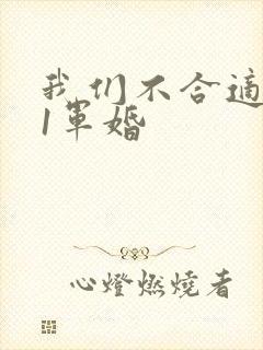 我们不合适1v1军婚