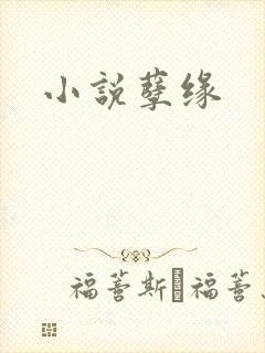 小说孽缘