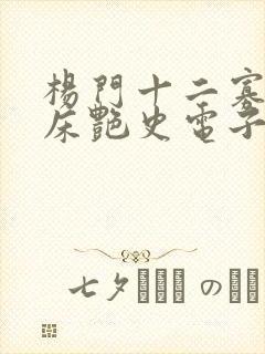 杨门十二寡妇肉床艳史电子书