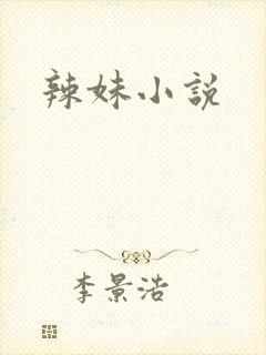 辣妹小说