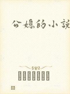 公媳的小说