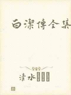 白洁传全集