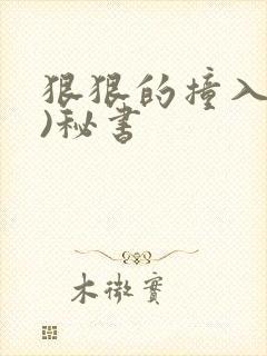 狠狠的撞入(h)秘书