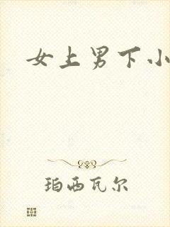 女上男下小说