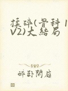 揉碎(骨科 1V2)大结局