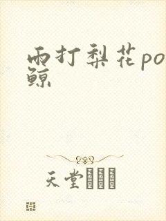 雨打梨花po问鲸