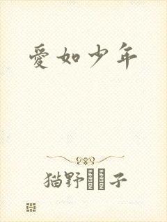 爱如少年