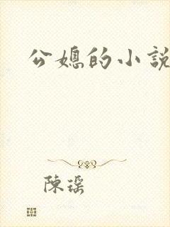 公媳的小说