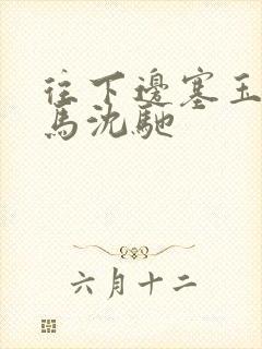 往下边塞玉器骑马沈驰