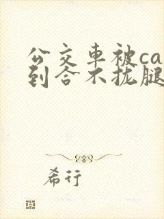 公交车被cao到合不拢腿视频