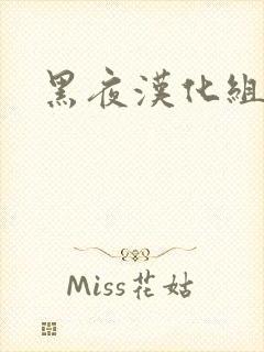黑夜汉化组