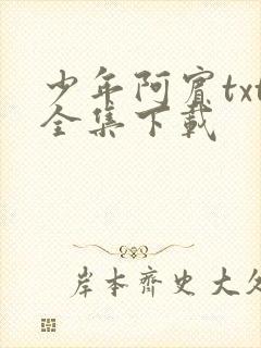 少年阿宾txt全集下载封面