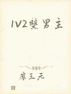 1V2双男主