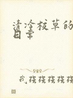 清冷校草的抹布日常