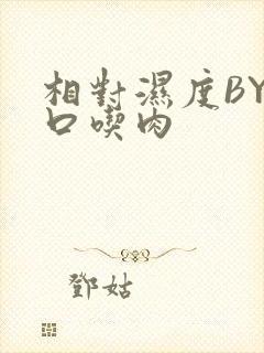 相对湿度BY大口吃肉