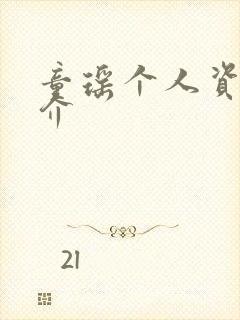 童瑶个人资料简介