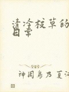 清冷校草的抹布日常