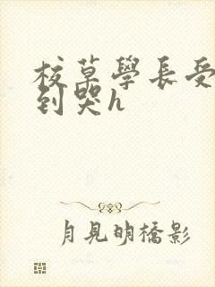 校草学长受被做到哭h