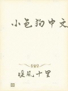 小色狗中文网封面