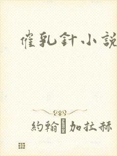 催乳针小说