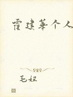 霍建华个人简历封面