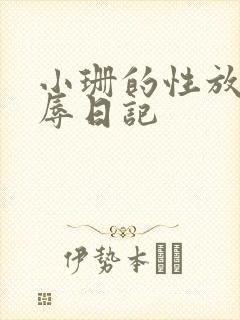 小珊的性放荡羞辱日记封面