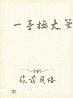 一手抚大笔趣阁