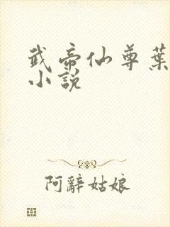 武帝仙尊叶辰 小说