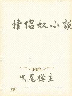 情侣奴小说封面